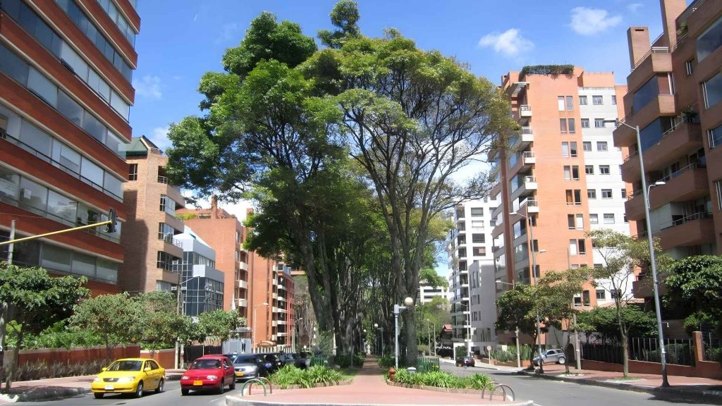 Calle arbolada en barrio exclusivo de Bogotá como La Cabrera o El Chicó, entorno residencial tranquilo y de alto nivel en la ciudad