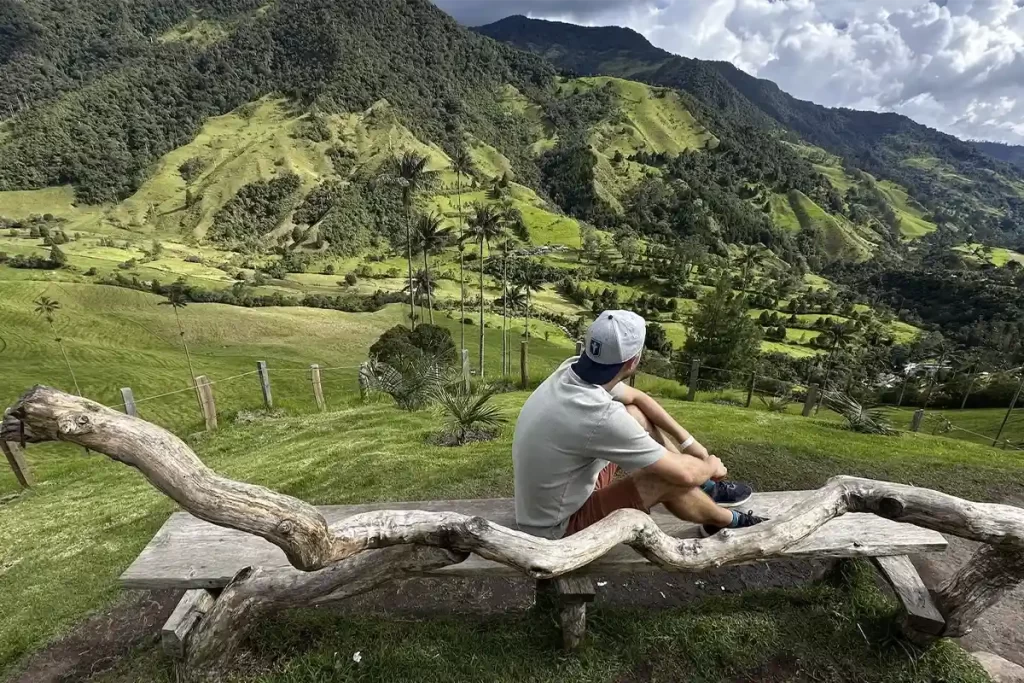 Persona contemplando el Valle del Cocora con palmas de cera y montañas verdes en Colombia.