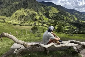 Persona contemplando el Valle del Cocora con palmas de cera y montañas verdes en Colombia.
